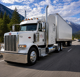 Expedited Services